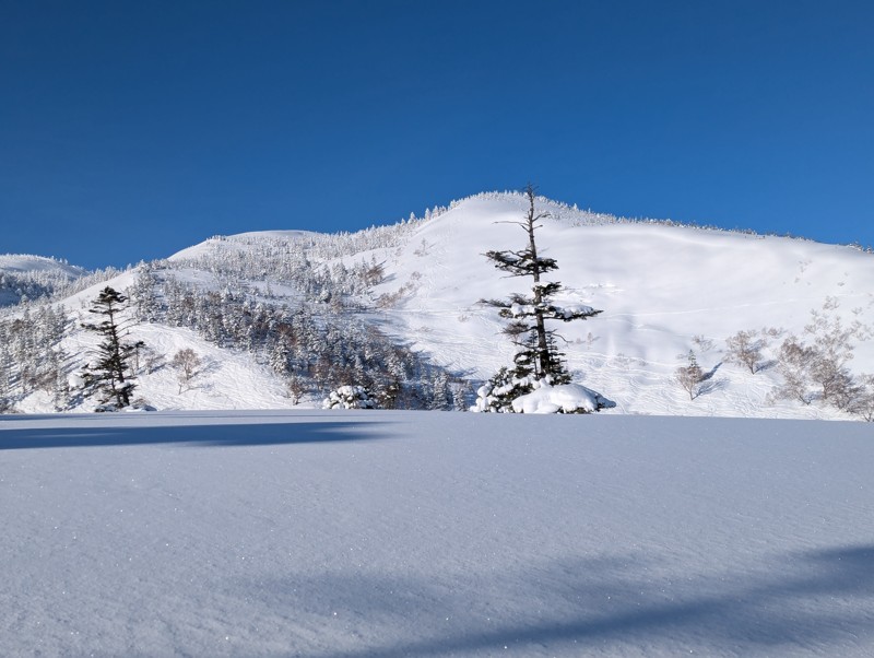 今年は雪が多くて幸せ！！